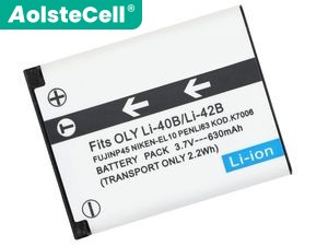 Batería de reemplazo Fujifilm D-LI63
