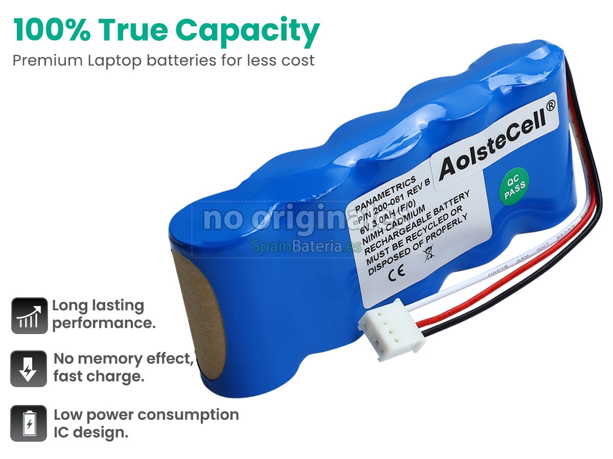 Batería para Panametrics PT878 FLOWMETER
